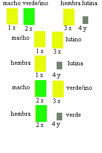 tabla-lutina-verde-portador-ino (54K)