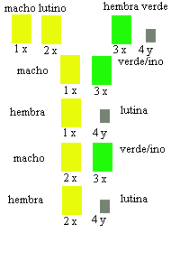 tabla-lutino-verde (54K)