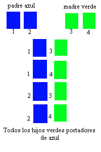 tabla-verde-azul (54K)